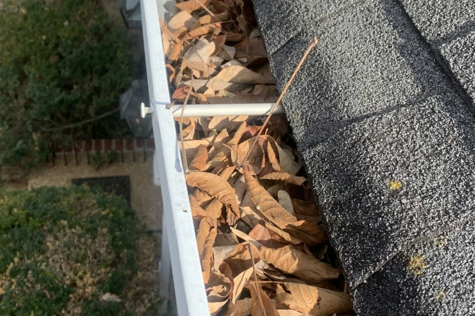 Gutter Cleaning Leland